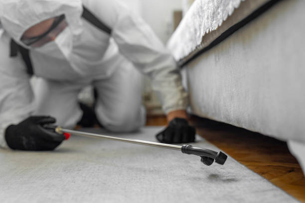 Professional Bed Bug Control technician working in Bentonville, AR