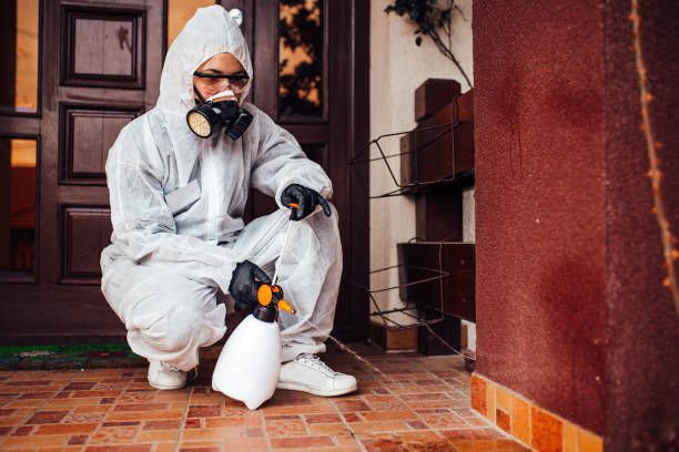 Reliable Bed Bug Control contractor in Bentonville, AR by Nex Pest Control